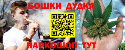 индика Нягань
