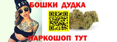 индика Нягань