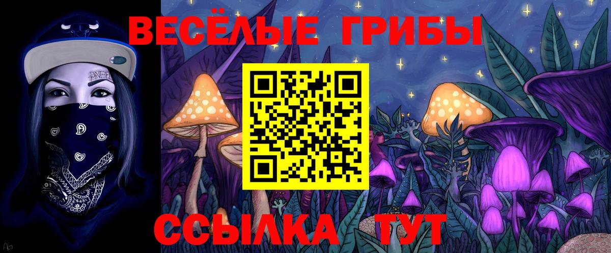 Галлюциногенные грибы MAGIC MUSHROOMS Обнинск